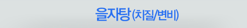 을자탕(치질/변기)